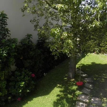 Apartment Anemolia Elegant